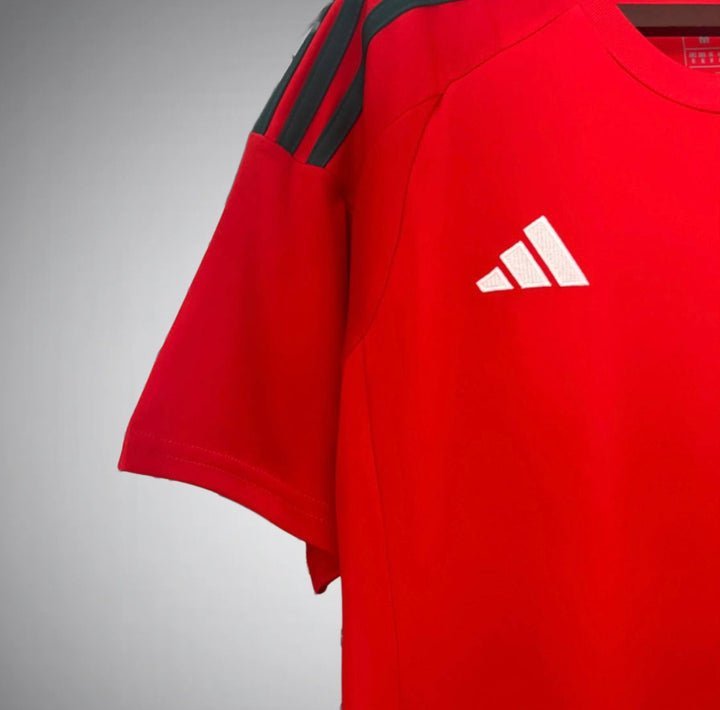 Wales 2024 Home Kit - Premium Quality Kits at Football Monarch