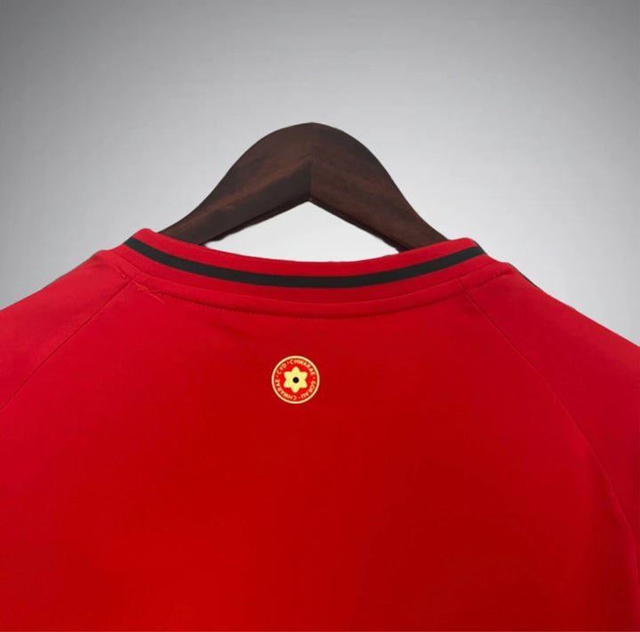 Wales 2024 Home Kit - Premium Quality Kits at Football Monarch